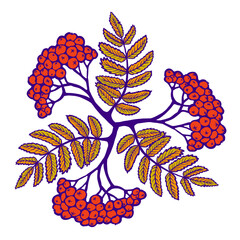 Creative composition on rowan berries, rowan vector illustration to use in patterns or as a decorative element