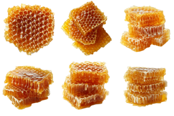 Set of Honeycomb isolated on white background