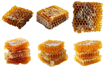 Set of Honeycomb  and beehive isolated on white background