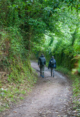 Obraz premium Route of the Profundu River, Villaviciosa, Asturias, Spain