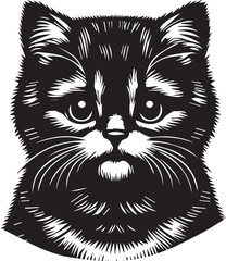 Scottish Fold Cat Cute Vector 