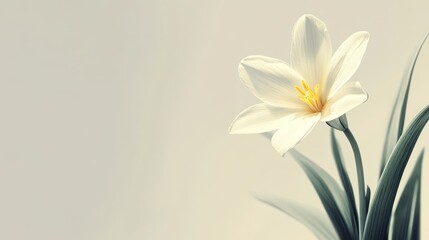 Serene Solitude: A Delicate Flower in Soft Light