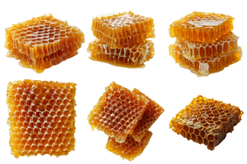 Set of Honeycomb  and beehive isolated on white background