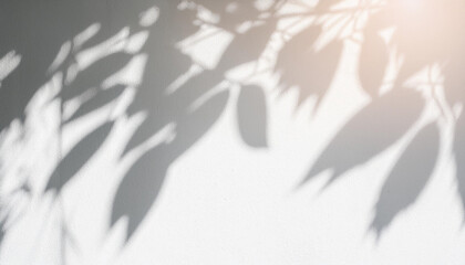 Leaf shadow and light on wall background. Nature tropical leaves tree branch and plant shade with sunlight from sunshine dappled on white wall texture for background wallpaper, shadow overlay effect