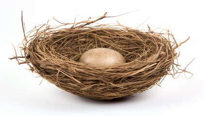 A bird nest elevation front view isolated
