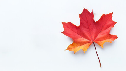 Ein einzelnes, rot-gelbes Ahornblatt liegt auf einem hellen Hintergrund, Platz f&uuml;r Text, Generative KI