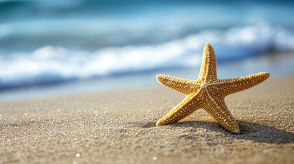A lone starfish resting on a sandy shore, leaving ample space for copy