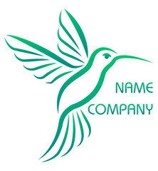 hummingbird beautiful little bird stylish logo for your business vector illustration isolated on white background
