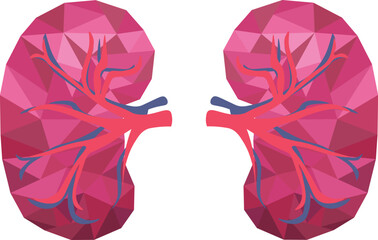 kidney made from triangles. vector
