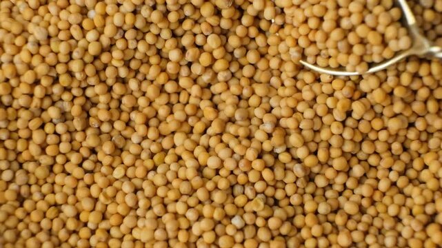 Cooking Background, Texture of Dry Mustard Grains, Top View, Slow Motion