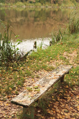 An old bench by the lake in autumn forest.Fall season nature scene beauty. High quality photo