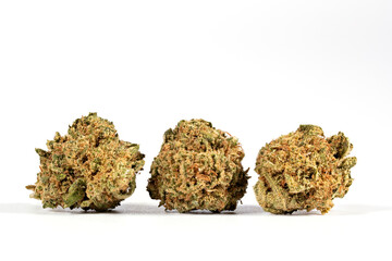 Three CBD flowers macro photography of from a Strawberry cannabis plant isolated