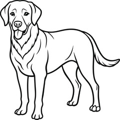 Labrador line art, Labrador line drawing, Labrador outline drawing, Labrador illustration
