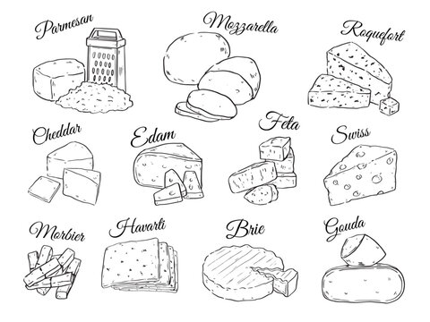 Collection of various kind of cheese hand drawn outline drawing vector food illustration set5