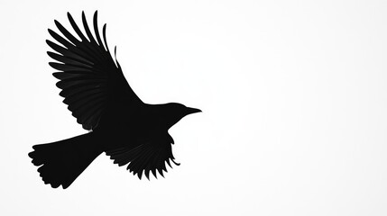 Obraz premium Black silhouette of a bird flying gracefully, highlighted against a bright, empty white background for a minimalist, impactful image.