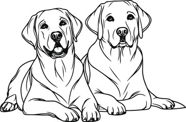 Labrador line art, Labrador line drawing, Labrador outline drawing, Labrador illustration
