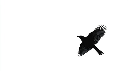 Obraz premium Black silhouette of a bird flying gracefully, highlighted against a bright, empty white background for a minimalist, impactful image.