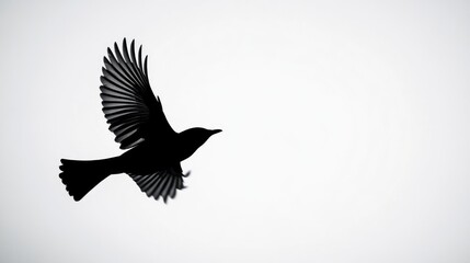 Obraz premium Black silhouette of a bird mid-flight, starkly set against a bright white background, emphasizing simplicity and contrast.