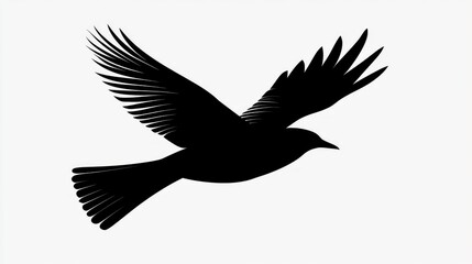 Obraz premium Silhouette of a bird in flight, its black form contrasting sharply with the pure white background in a minimalist scene.