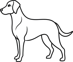 Labrador line art, Labrador line drawing, Labrador outline drawing, Labrador illustration