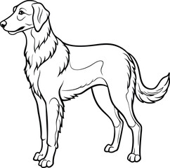 Obraz premium black and white dog