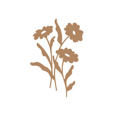 Vector illustration of camomile flower in simple hand drawn and linocut style. Simple contour vector illustration for cosmetics, postcard and pattern. © Lili Kudrili