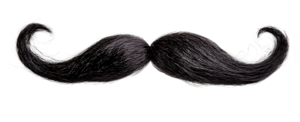 Curly black handlebar mustache, isolated on white background.