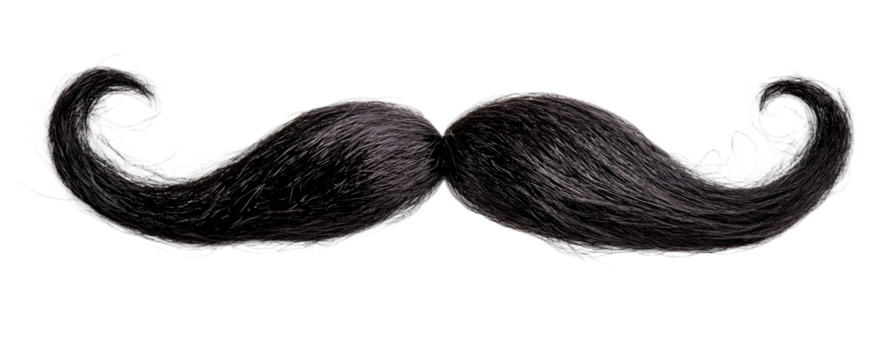 Curly black handlebar mustache, isolated on white background.