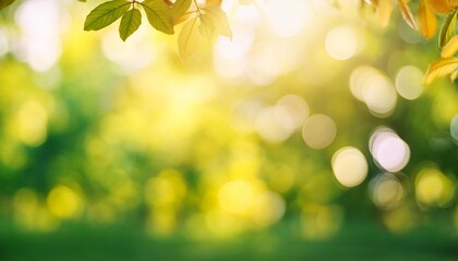 Fototapeta premium bokeh background showcases the beauty of nature with green yellow tones of leaves and trees