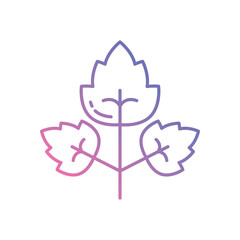 Parsley vector icons stock illustration