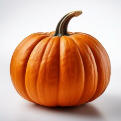 Obraz premium orange pumpkin on white background