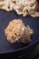 Sparassis crispa frying.