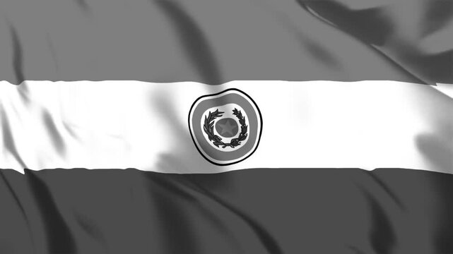 パラグアイの国旗がモノクロからカラーになって、またモノクロに戻ります。