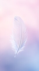 Single Feather Floating in Air with Soft Pastel Background, Minimalist and Ethereal Scene