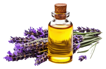PNG Lavender essential oil bottle perfume flower plant.