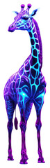 PNG Giraffe animal mammal light.