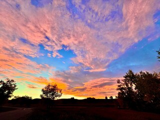 SUNSET IN THE FOREST