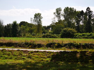 Meadow, field, edge of the forest and an asphalted agricultural side path runs right through the middle.