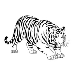 Naklejka premium Majestic Tiger Vector Illustration Powerful Wild Cat Art Design