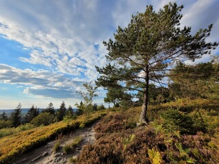 Lippische Velmerstot im Teutoburger Wald
