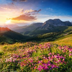 Fototapeta premium summer landscape with flowers in the mountains