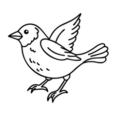 Obraz premium Line Art Illustration of a Sparrrow Bird with Wings Raised for Design Use