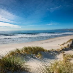 Plexiglas schilderij Duinen california white sand beach landscape with dunes and sea grass ocean  © Heaven