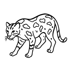 Obraz premium Stylized Clouded Leopard Outline Vector Illustration for Wildlife Education