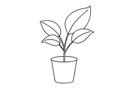recommend clip art: House plant in a pot doodle outline, Potted plant line art vector illustration	
                    
