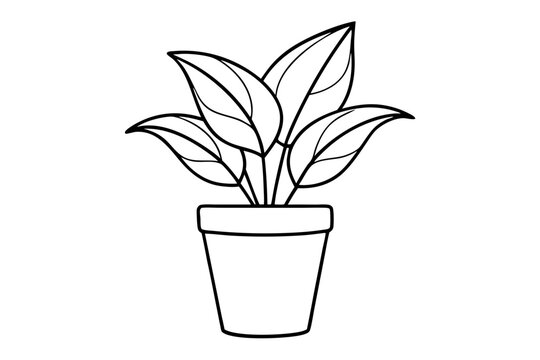 recommend clip art: House plant in a pot doodle outline, Potted plant line art vector illustration	
                    