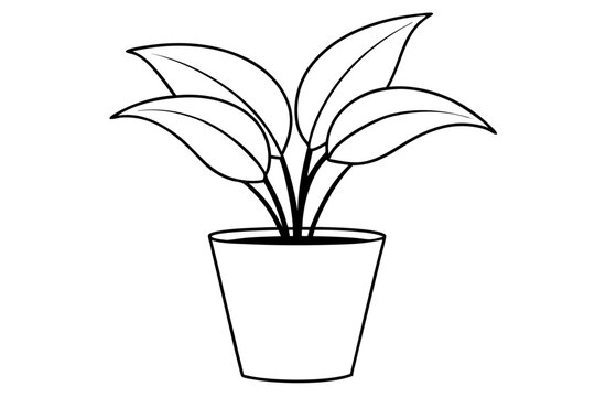 recommend clip art: House plant in a pot doodle outline, Potted plant line art vector illustration	
                    
