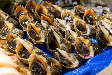 Korean seafood market. fresh conch