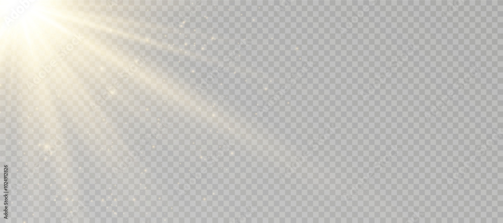 Wall mural yellow glowing light explodes on a transparent background. sparkling magical dust particles. bright 