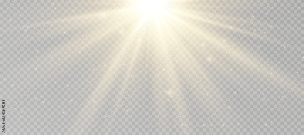 Wall mural yellow glowing light explodes on a transparent background. sparkling magical dust particles. bright 